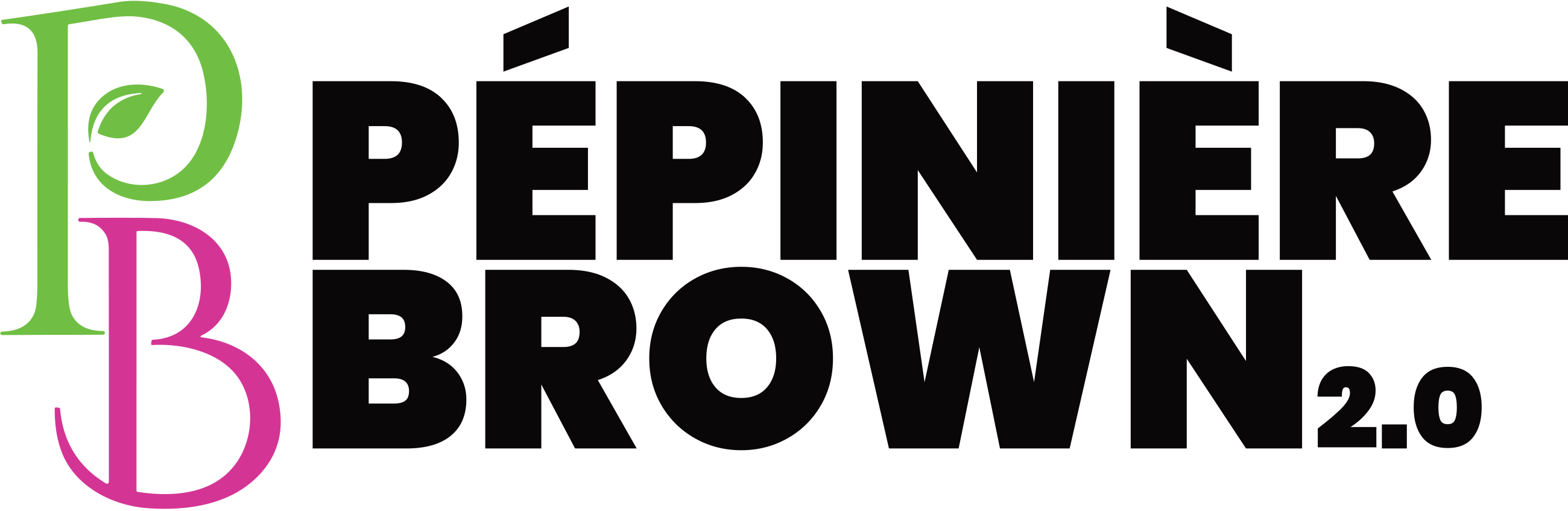 Logo Pepiniere Brown